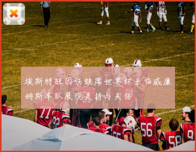 埃斯特旺因伤缺席世界杯亲临威廉姆斯车队展现支持与关怀