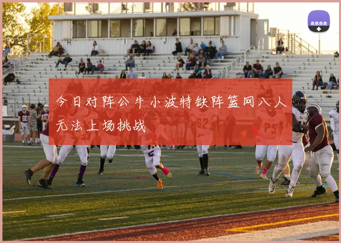 今日对阵公牛小波特缺阵篮网八人无法上场挑战