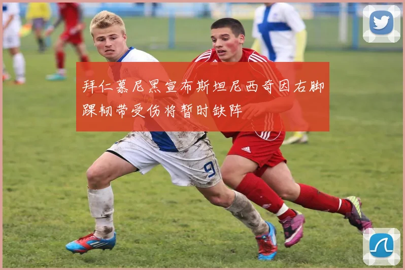 拜仁慕尼黑宣布斯坦尼西奇因右脚踝韧带受伤将暂时缺阵
