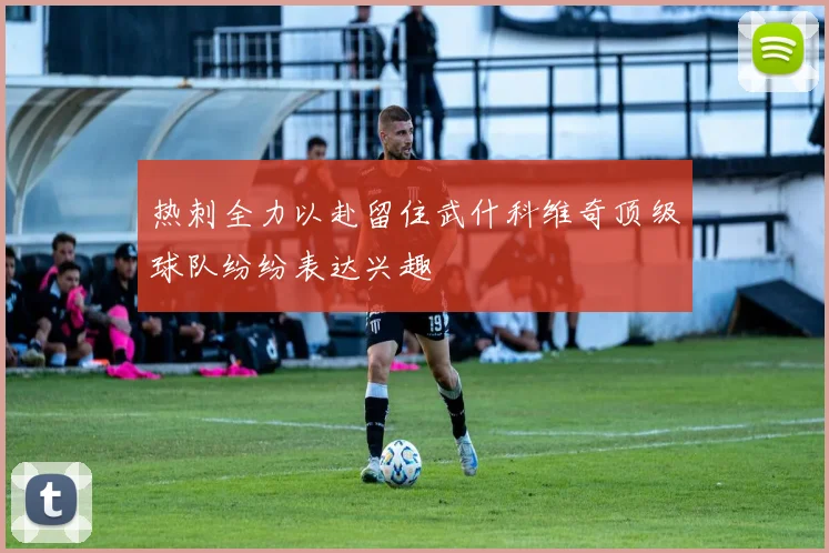 热刺全力以赴留住武什科维奇顶级球队纷纷表达兴趣